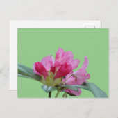 Roze Rhododendron Close Up Cust. BG DIY-Briefkaart Briefkaart (Voorkant / Achterkant)