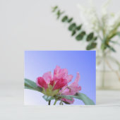 Roze Rhododendron Close Up DIY Briefkaart (Staand voorkant)