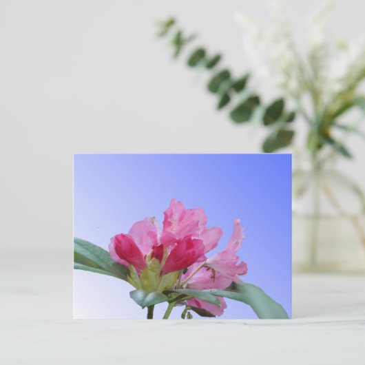 Roze Rhododendron Close Up DIY Briefkaart (Staand voorkant)