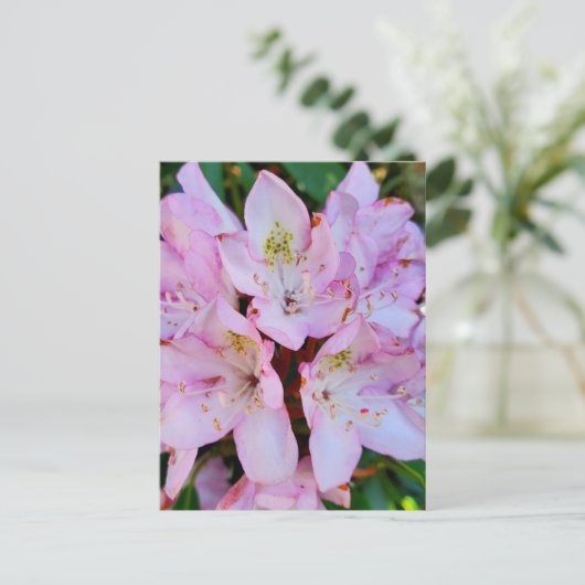 Roze Rhododendron Flower Briefkaart (Staand voorkant)