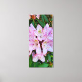 Roze Rhododendron Flower Canvas Afdruk (Voorkant)