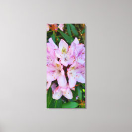 Roze Rhododendron Flower Canvas Afdruk