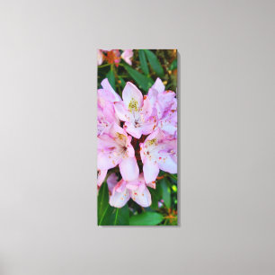 Roze Rhododendron Flower Canvas Afdruk