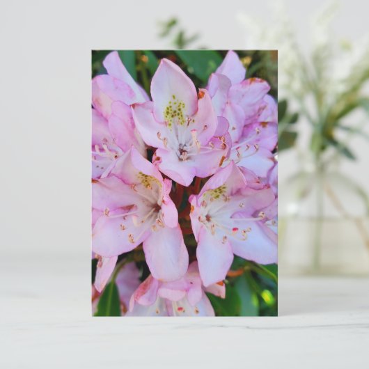 Roze Rhododendron Flower Kaart (Staand voorkant)