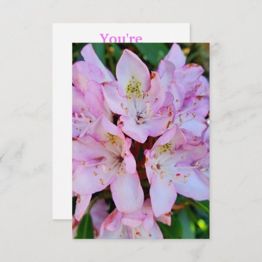 Roze Rhododendron Flower Kaart (Voorkant / Achterkant)