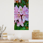 Roze Rhododendron Flower Poster (Keuken)
