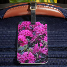 Roze Rhododendron Flowers