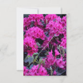 Roze Rhododendron Flowers Kaart (Voorkant)