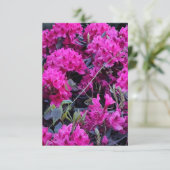 Roze Rhododendron Flowers Kaart (Staand voorkant)