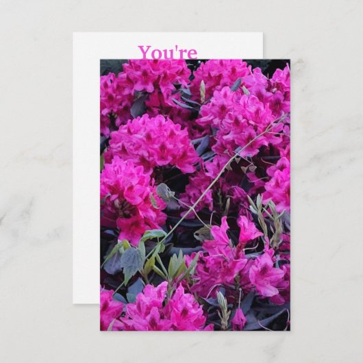 Roze Rhododendron Flowers Kaart (Voorkant / Achterkant)