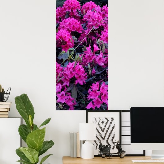 Roze Rhododendron Flowers Poster (Thuiskantoor)