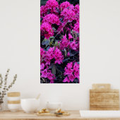 Roze Rhododendron Flowers Poster (Keuken)