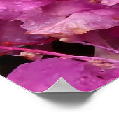 Roze Rhododendron Flowers Poster (Hoek)
