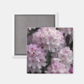Roze Rhododendron Gifts Magneet (Voorkant / Achterkant)