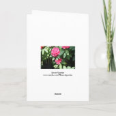 Roze Rhododendron met een klein Butterfly-groet Kaart (Achterkant)
