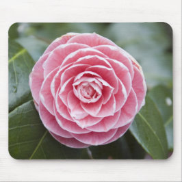 Roze Rhododendron Mousepad Muismat