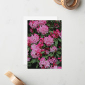Roze Rhododendron Notitiekaartje (Voorkant / Achterkant in situ)