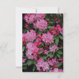 Roze Rhododendron Notitiekaartje
