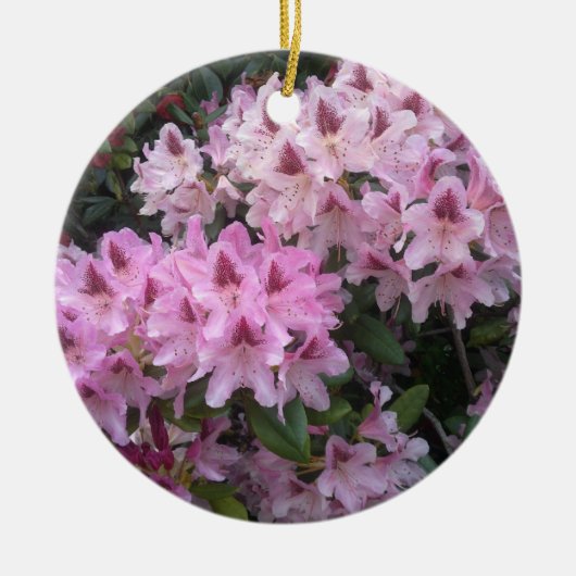 Roze Rhododendron Ornament (Voorkant)