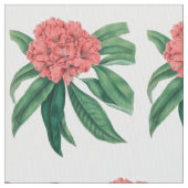 Roze Rhododendron Stof (Close Up)