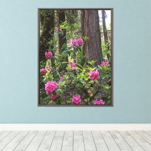 Roze Rhododendrons in een bos Canvas Afdruk