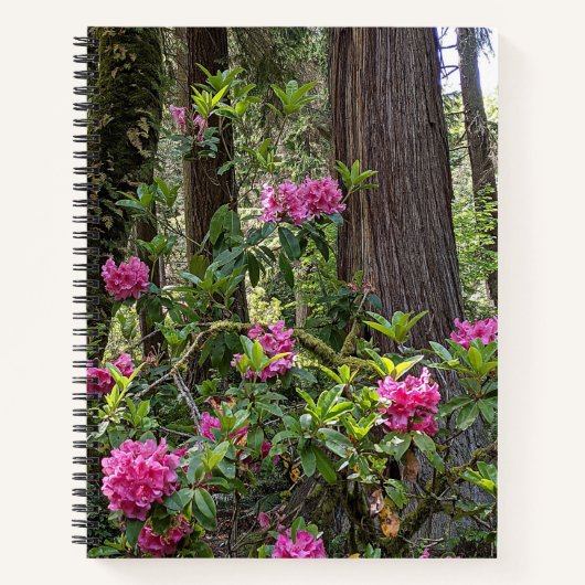 Roze Rhododendrons in een bos Notitieboek (Voorkant)