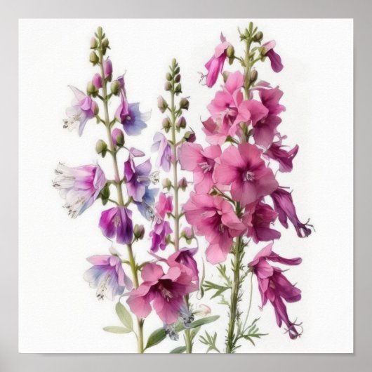 Roze Ridderspoor Bloem Kunstprint Poster (Voorkant)