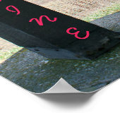 Roze rif poster (Hoek)