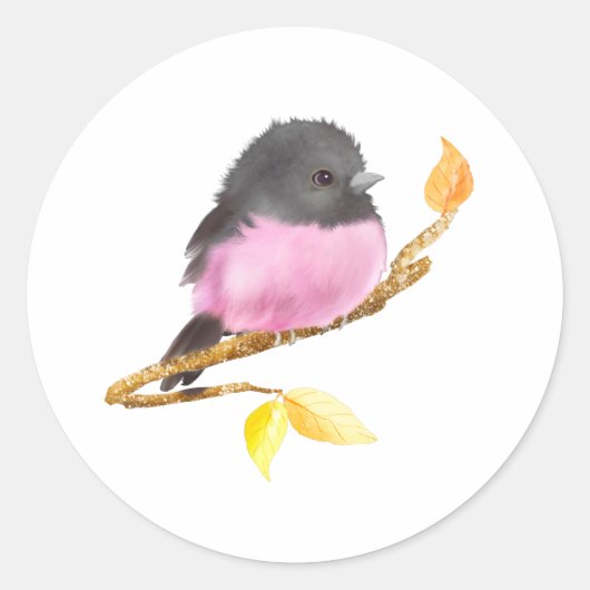 Roze Robin Bird Sticker (Voorkant)