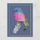 Roze Robin Colorful Small Bird Briefkaart (Voorkant)