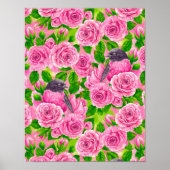 Roze Robin en rozen Poster (Voorkant)