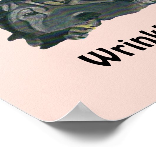 Roze "Rockin" Mijn rimpels Zwarte Sharpei-Poster Poster (Hoek)