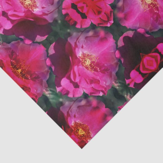 Roze rode Abstracte ontkoppeling Tissuepapier (Detail)