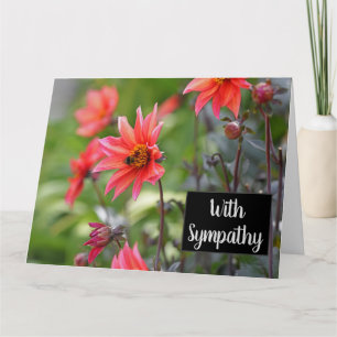 Roze & Rode Dahlia Bloemen Wisley Met Sympathie Kaart