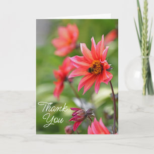 Roze & Rode Dahlia Tuin Bloemen Met Bij Bedankkaart