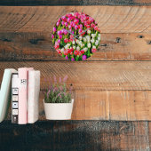 Roze rode en witte tulpen van Mt Vernon Grote Klok