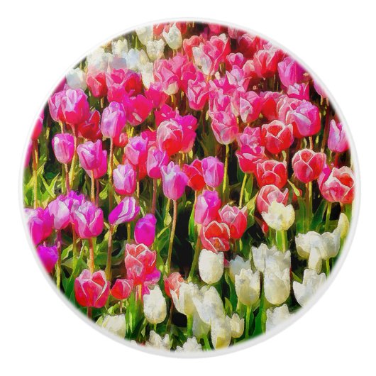 Roze rode en witte tulpen van Mt Vernon Keramische Knop (Voorkant)
