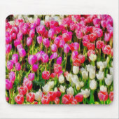 Roze rode en witte tulpen van Mt Vernon Muismat (Voorkant)