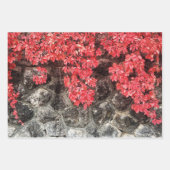 Roze rode grijze klimop bladeren herfst abstracte  inpakpapier vel (Voorkant)