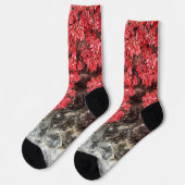 Roze rode grijze klimop bladeren herfst abstracte  sokken (Links)