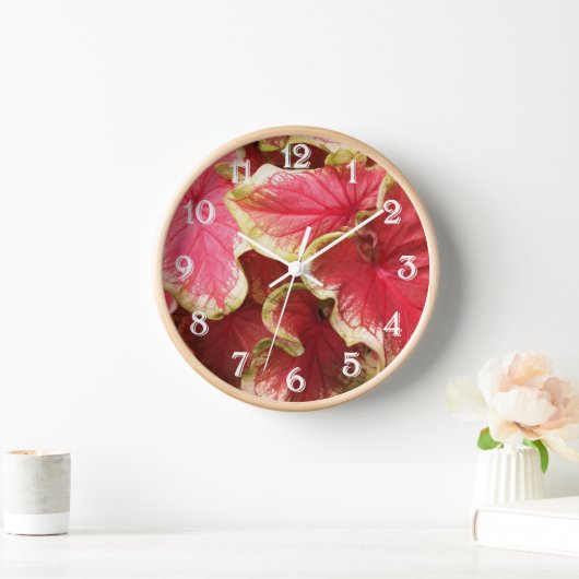 Roze rode kaladiumbladeren Floral (Huis)