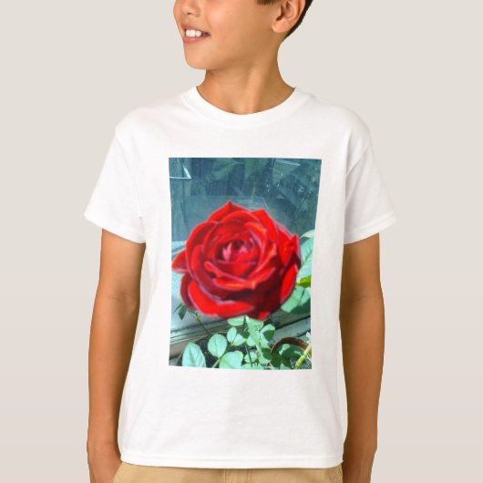 Roze rode roodroos t-shirt (Voorkant)