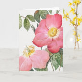 Roze Rode Roos Pierre-Joseph Redoute Wenskaart Kaart (Gele Bloem)