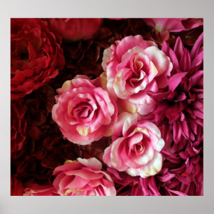 Roze, rode rozen: stof achtergrond. poster