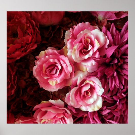 Roze, rode rozen: stof achtergrond. poster (Voorkant)