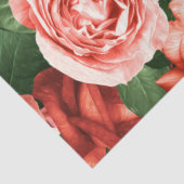 Roze rode rozen willekeurige regelingen Floral Pat Tissuepapier (Detail)