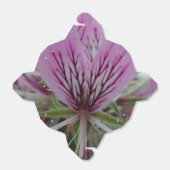 Roze/rode ventilator uit de voorverpakking bedankdoosjes (Uitgevouwen)