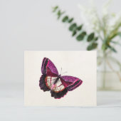  roze rode vlinder 1896 blanco Sjabloon Briefkaart (Staand voorkant)