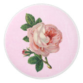 roze rode witte knop (Voorkant)