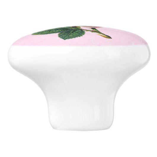 roze rode witte knop (Zijkant)